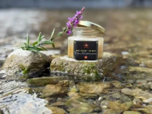 Miel blanc du Kirghizistan dans un petit pot artisanal posé sur pierre avec plante fraîche.
