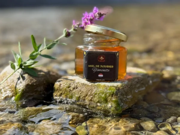 Miel de jujubier du Yémen dans pot doré posé sur pierre avec fleur violette.
