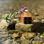 Miel de rosier sauvage russe dans pot en verre avec fleur mauve posée à côté.