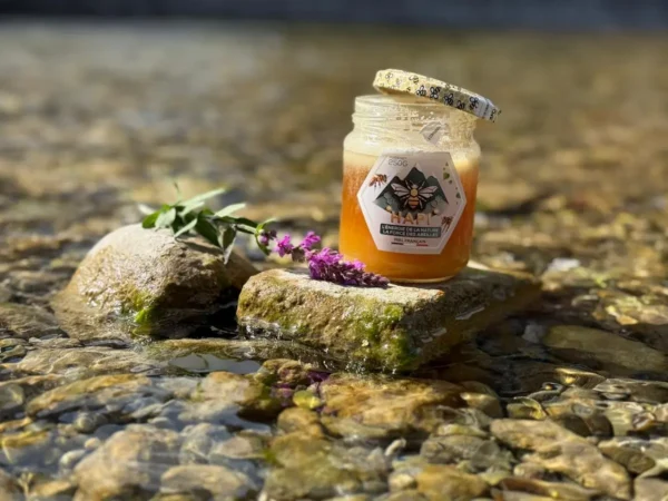 Pot de miel français artisanal Hapi avec étiquette blanche et dorée, posé en rivière.