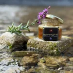 Pot de miel de Manuka MGO 550+ sur roche au bord de l’eau avec fleur sauvage.