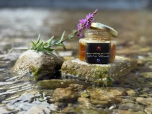 Pot de miel de Manuka MGO 550+ sur roche au bord de l’eau avec fleur sauvage.